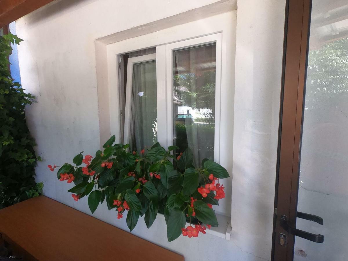 Apartamento Fontana Bovec Exterior foto
